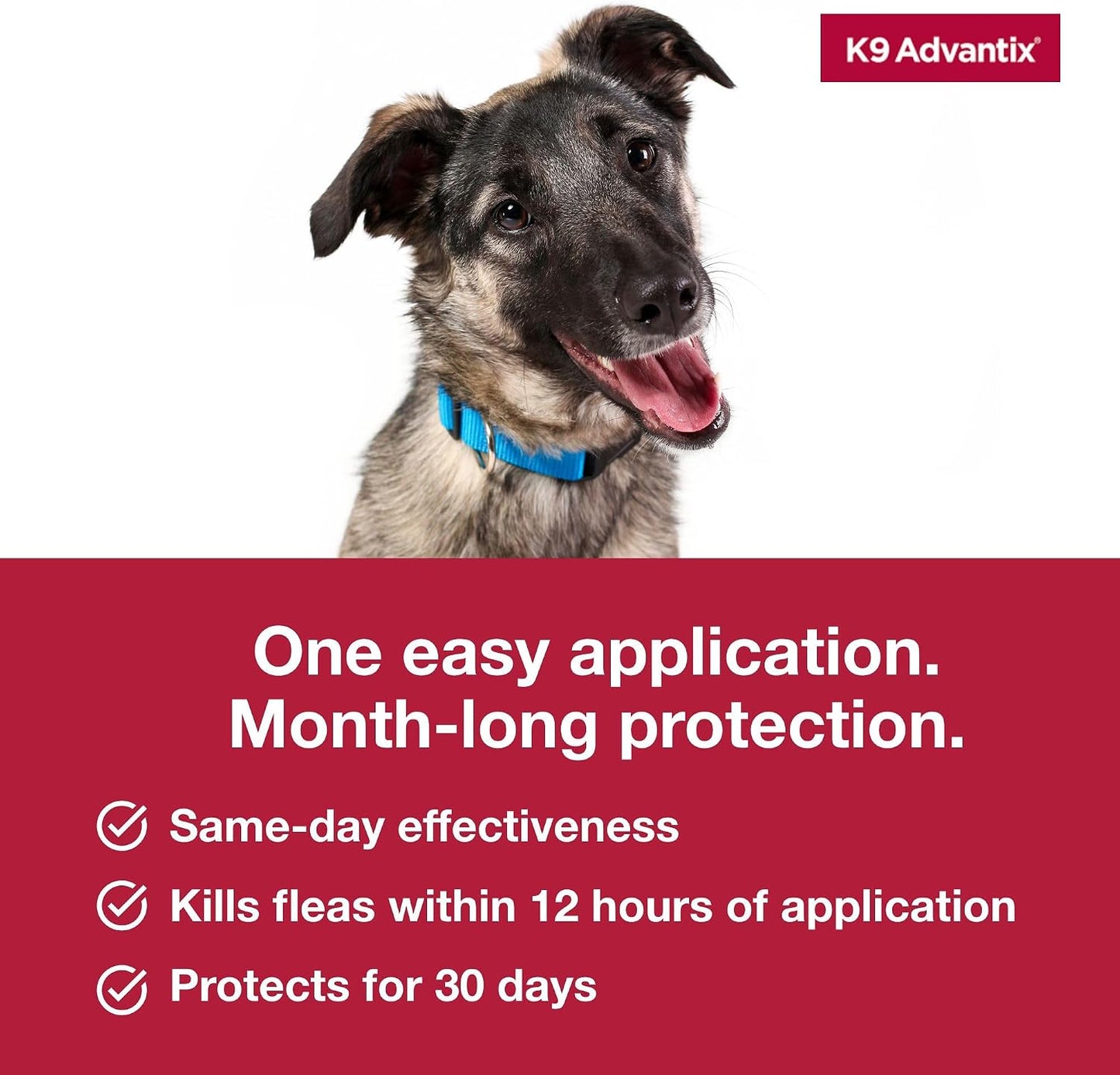 Authentic USA imported Elanco K9 Advantix large dog pest control package back view