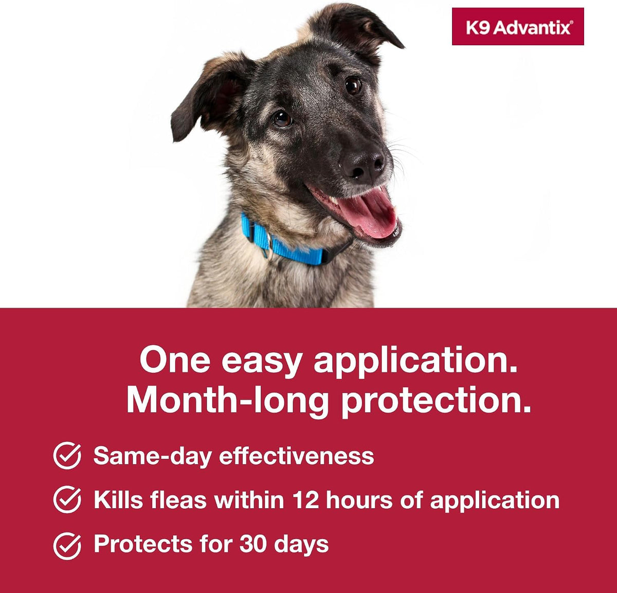Authentic USA imported Elanco K9 Advantix large dog pest control package back view