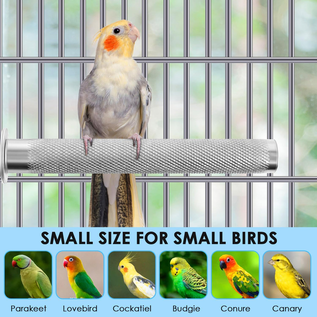 KATUMO Parrot Perch - Stainless Steel African Grey Perch Bird Cage Accessories for Small to Large Parrots (11.8 x 1.2 inch) - Image 7