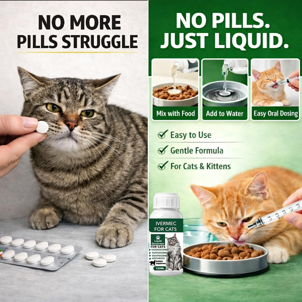 Cat Dewormer Liquid,Dewormer for Cats Broad Spectrum for Tapeworms, Roundworms & Hookworms, Promotes Digestive Comfort & Daily Balance - Image 11