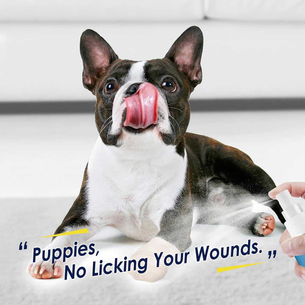 Pet training aid spray for indoor use