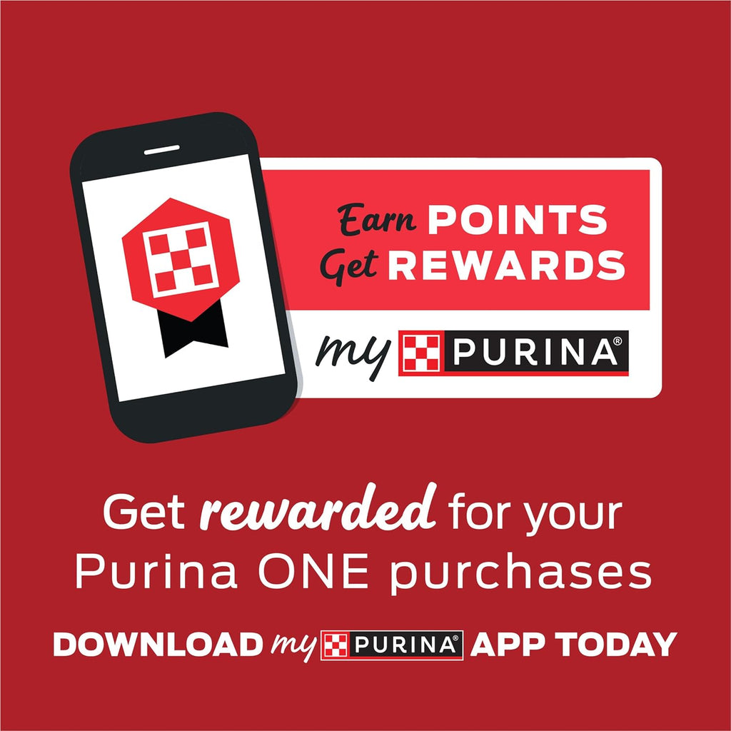 Purina ONE wet dog food tender cuts in gravy real beef and bison can close up
