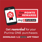 Purina ONE wet dog food tender cuts in gravy real beef and bison can close up