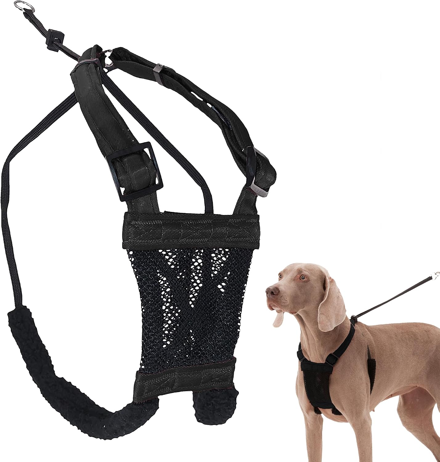 Sporn No Pull Dog Harness black front view