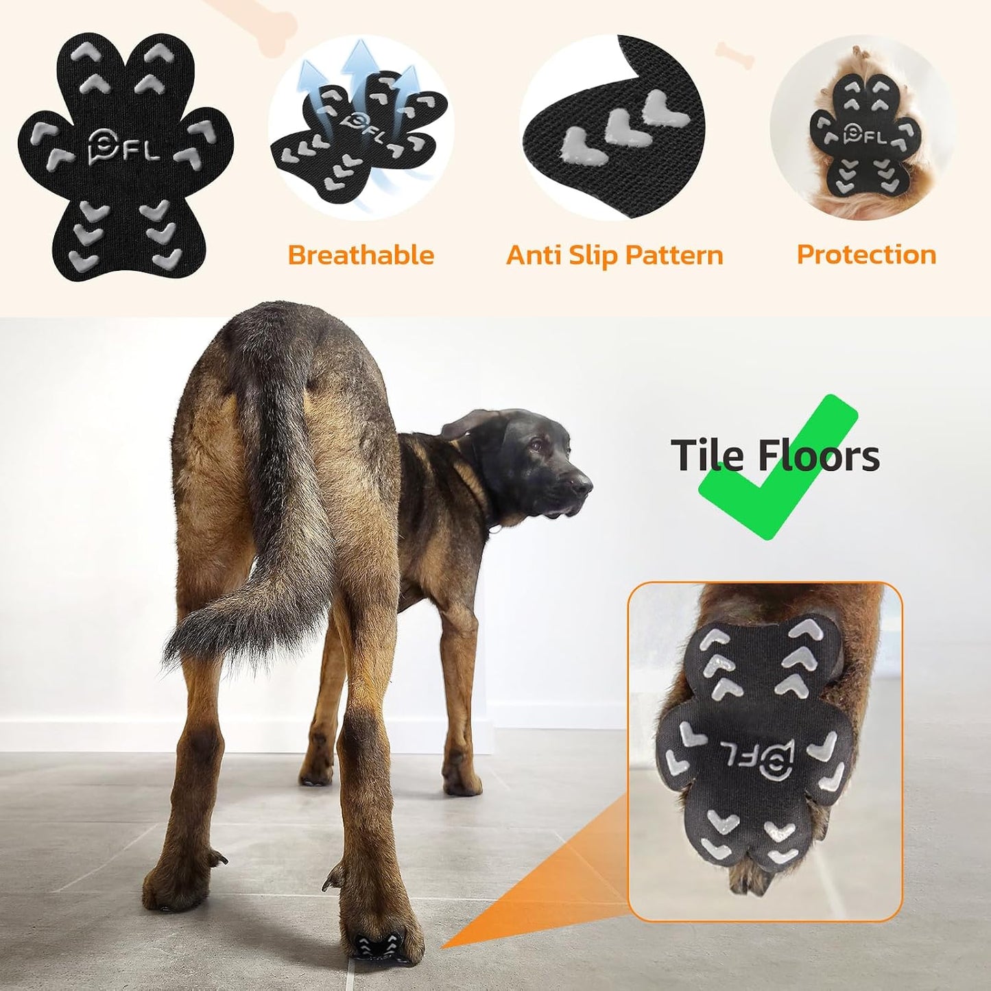 Application demonstration of disposable paw pads on dog