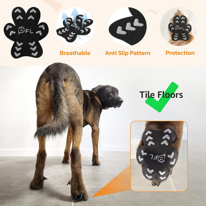 Application demonstration of disposable paw pads on dog