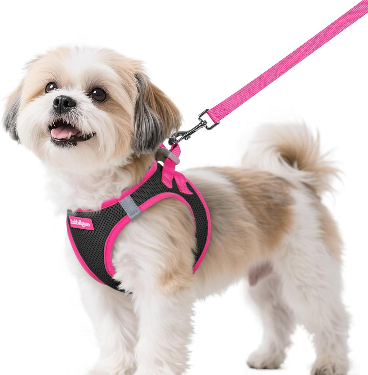 Rabbitgoo dog harness and leash set small size front view