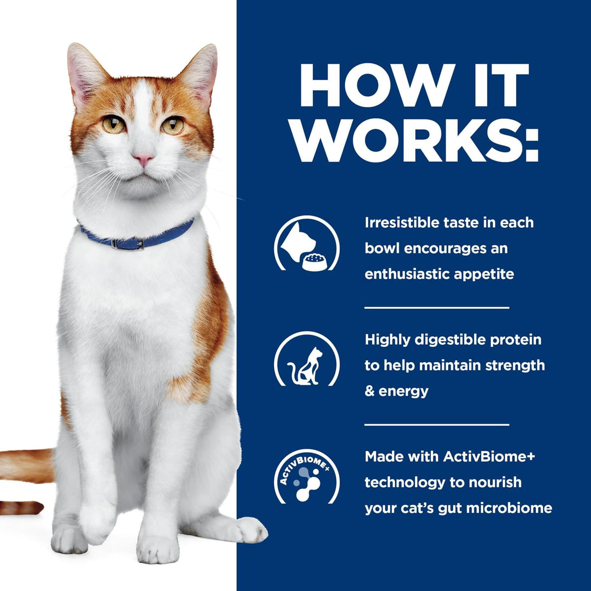 Hill's Prescription Diet ONC Care Wet Cat Food, Chicken & Vegetable Stew, Veterinary Diet, 2.9 oz. Cans, 24-Pack - Image 9