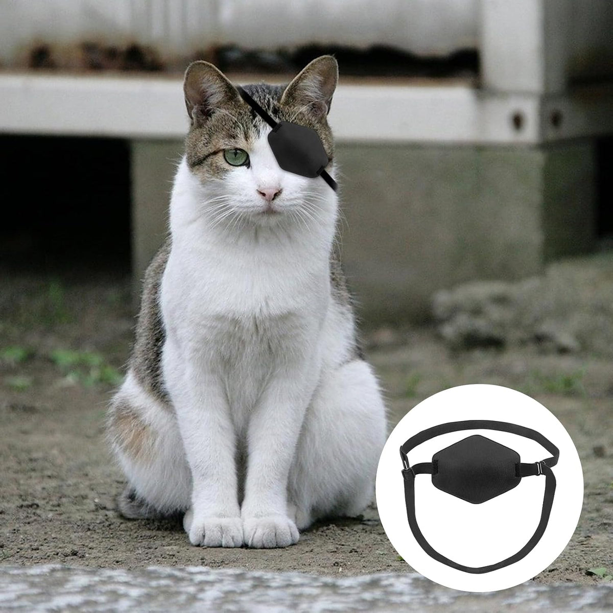 Close-up of the soft fabric material and concave cup of the cat wound protector patch.