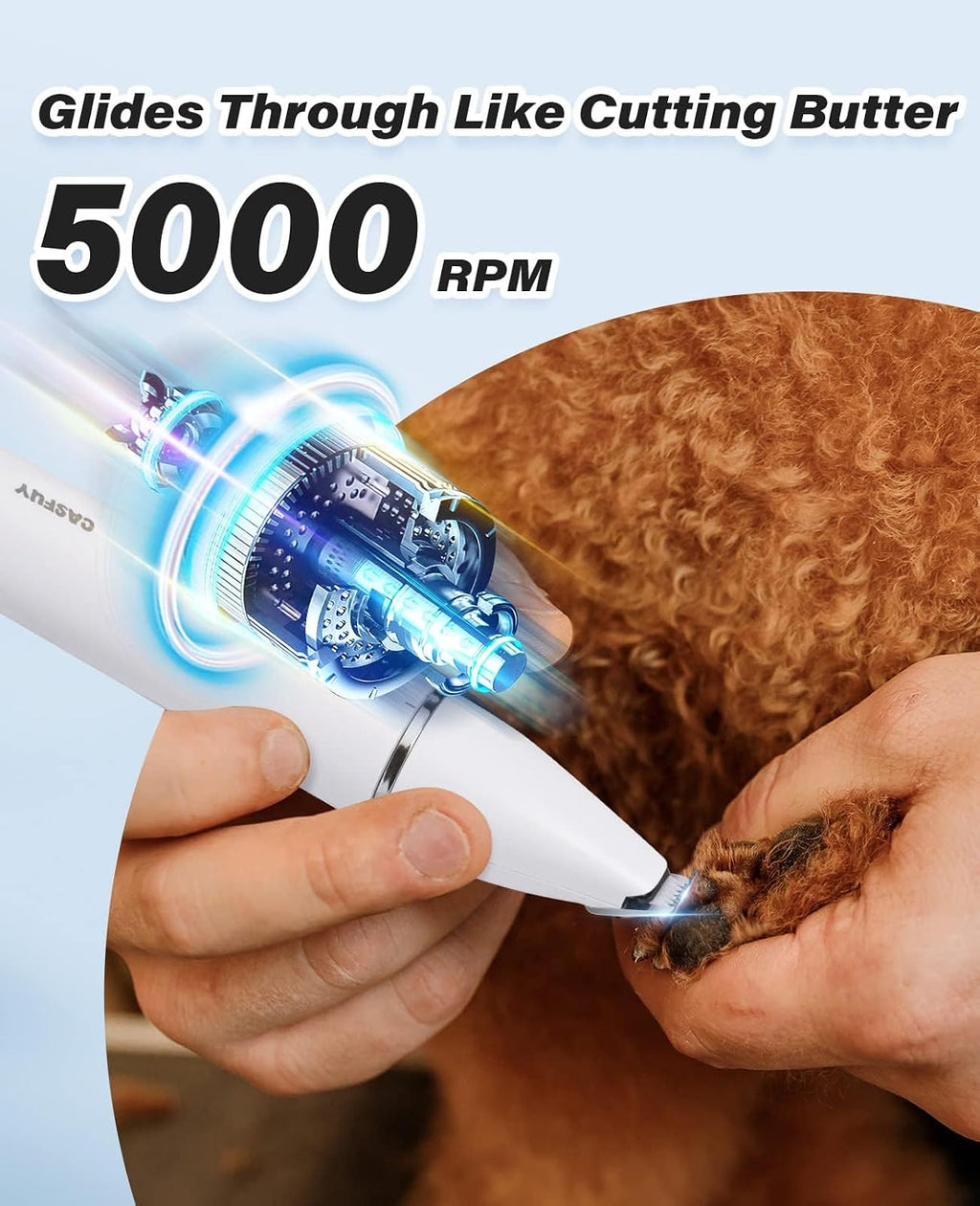 Casfuy USB rechargeable small dog clippers demonstrating the standard one inch trimmer head.