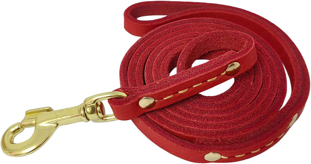 Leadfar premium cowhide pet leash hardware close up view