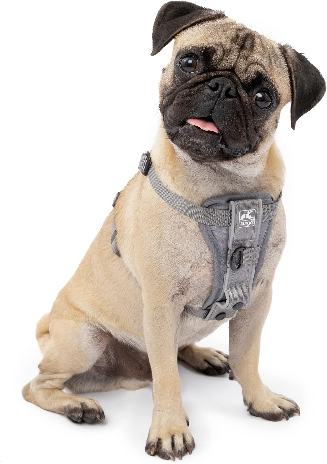 Kurgo Tru-Fit Smart Dog Walking Harness - Comfortable Fit - Adjustable Harness - Reflective Pet Wear - Quick Strap Release - Daily Walk Accessory - Includes Seat Belt Loop - Black - Large - Image 12