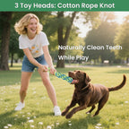 Textured E-TPU foam bone and squeaky toy components designed for canine dental care