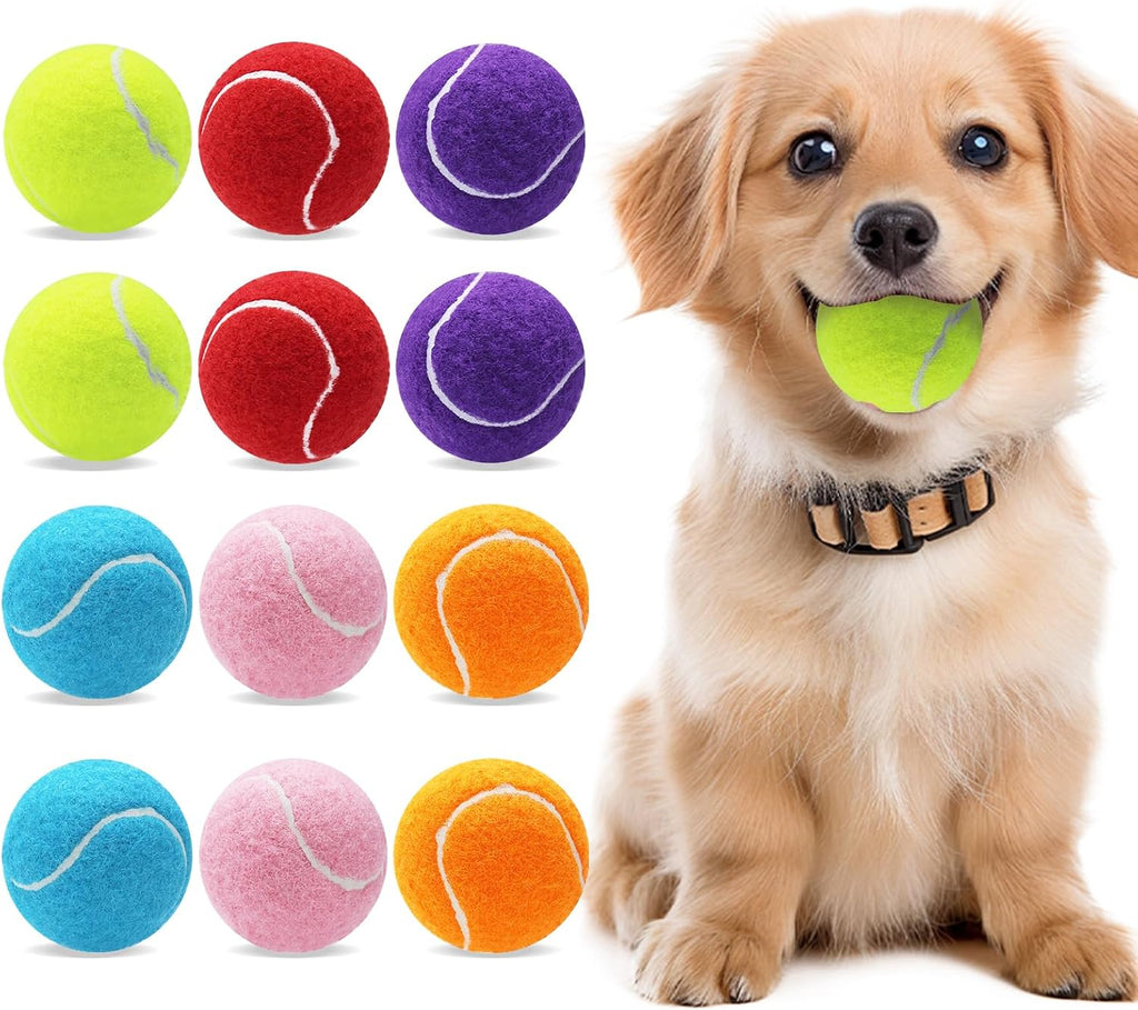 Magicorange tennis balls set for pet interactive training