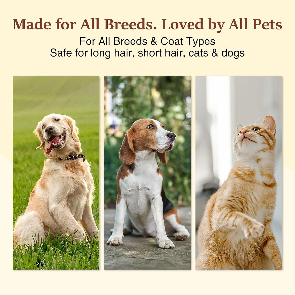 Hydrating pet fur oil spray by Oivolii for restoring shine to dry cat and dog coats.