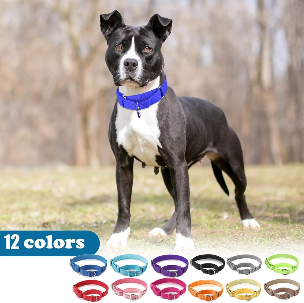 Premium reflective pet collar for night walking safety with secure hardware