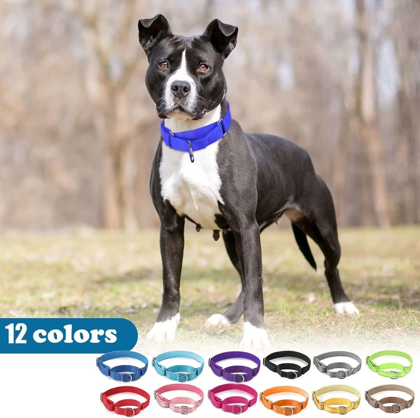Premium reflective pet collar for night walking safety with secure hardware