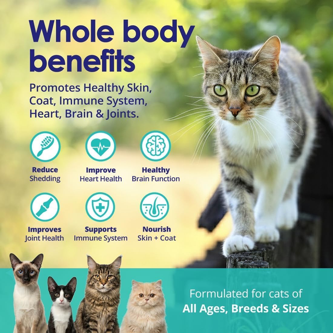 NuLife Natural Pet Health cat omega 3 fish oil ingredient label showing pure wild salmon oil