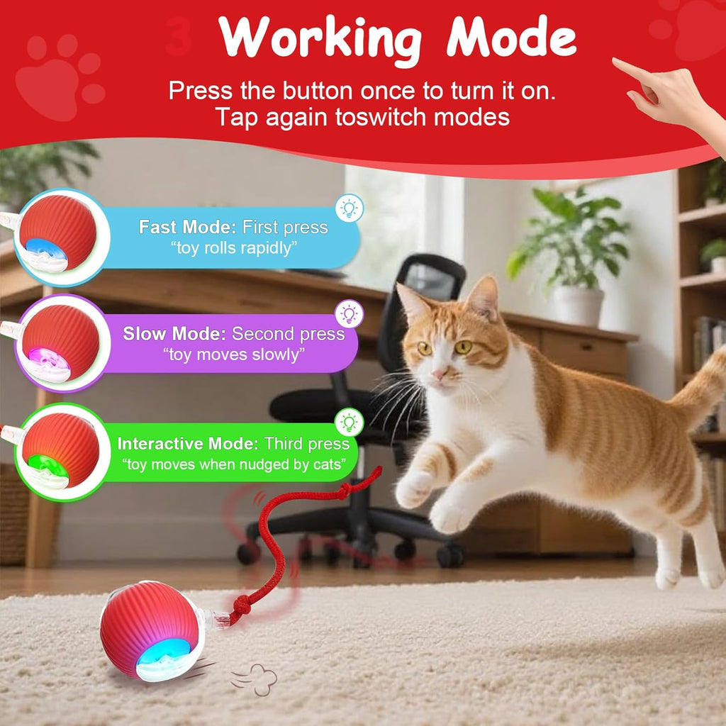 Miraigai cat toy ball showing 360 degree automatic motion