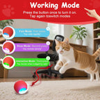 Miraigai cat toy ball showing 360 degree automatic motion