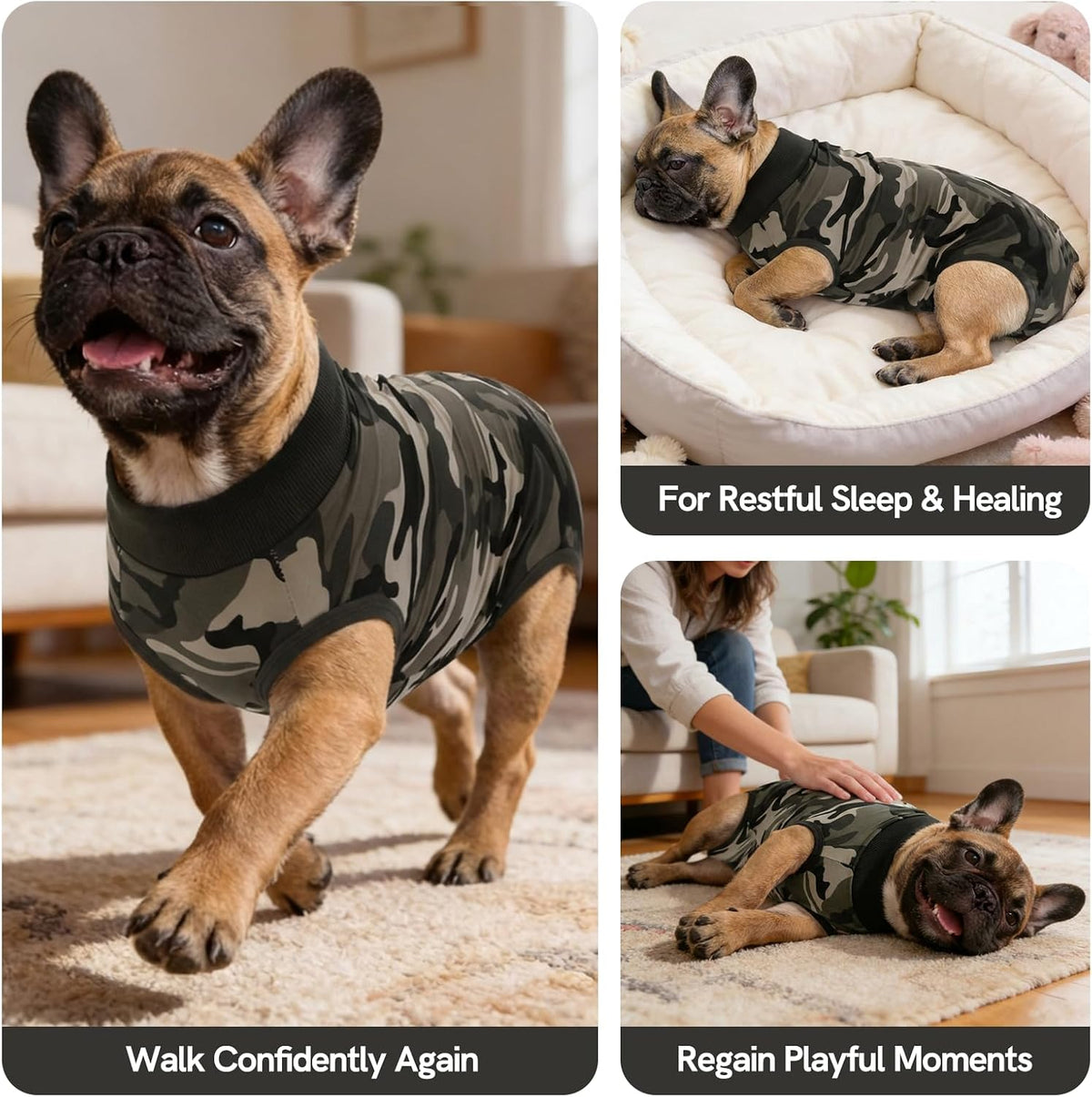 SAWMONG pet recovery shirt alternative cone collar visual demonstration on an extra large breed.