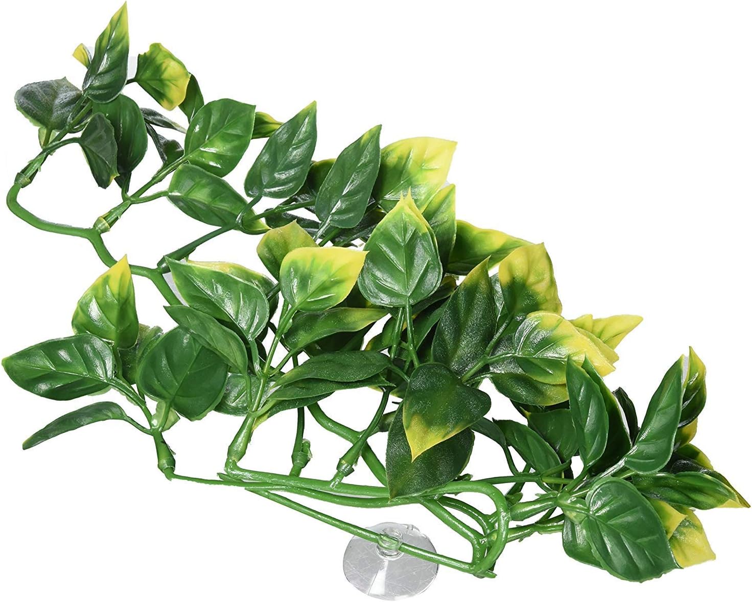 Exo Terra Plastic Terrarium Plant, Small, Mandarin - Image 11