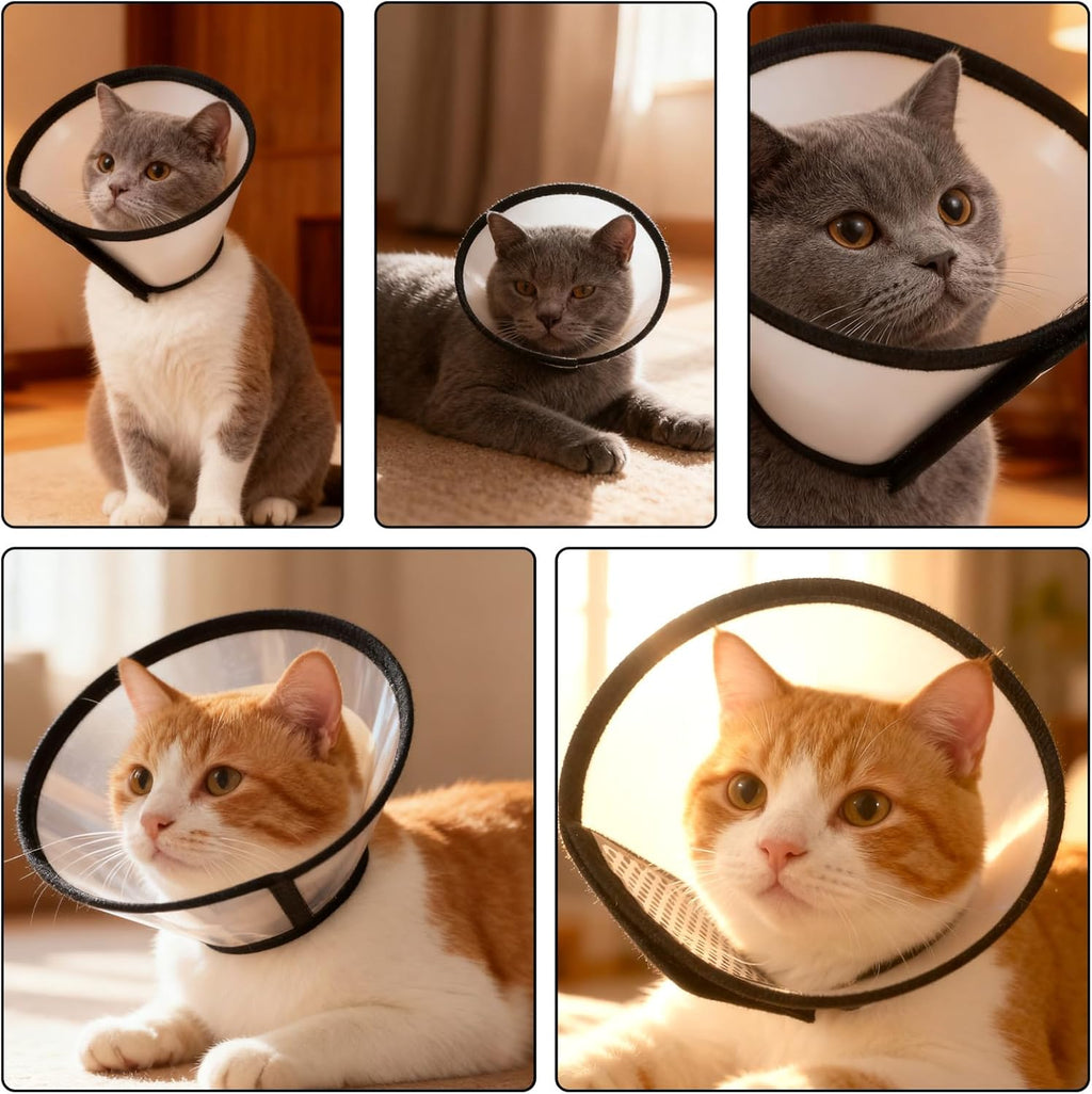 Lightweight transparent pet cone alternative to plastic showing comfortable neck fit