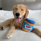 Chewffon durable plush toy for all dog breeds and sizes