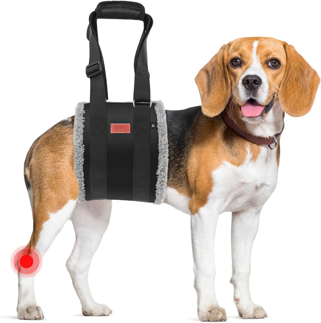 Adjustable Dog Lift Harness Dog Sling for Large Dogs Hind Leg Support Soft Lift Support and Rehab Harness for Weak Rear Legs, Helps Senior, Injured, Disabled and After ACL Surgery Dogs Large - Image 15