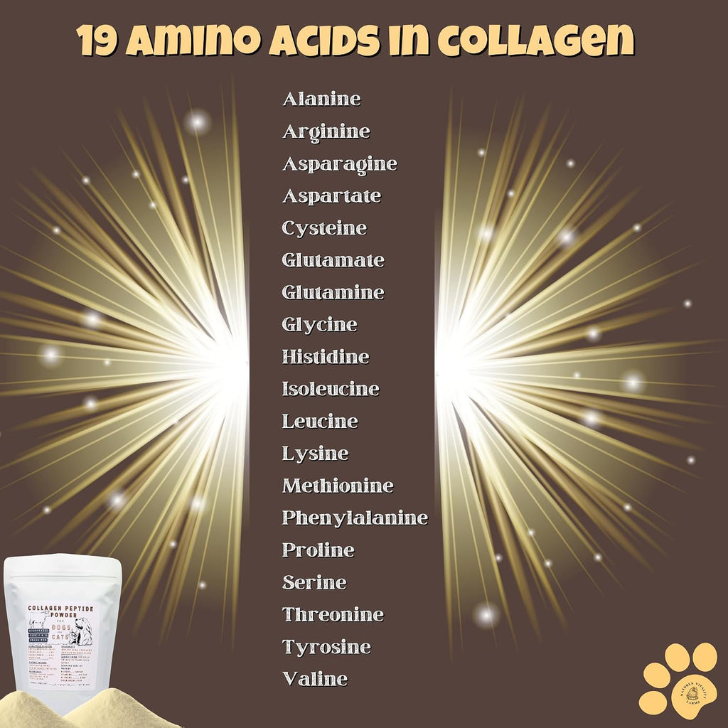 Collagen peptides powder for pet joint and skin health