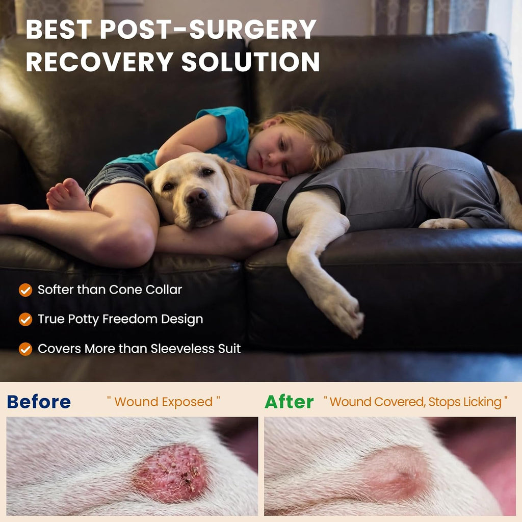 T'CHAQUE abdominal wound cover for large dogs