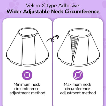 Dual outer reinforcement buckles on the cervical spine area of the soft dog surgery collar.