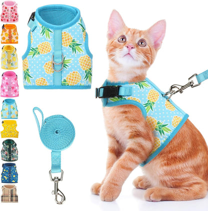 BINGPET Cat Harness and Leash Set Escape Proof, Fashionable Adjustable Mesh Harness for Walking, Soft Cute Breathable Easy Control Cat Vest for Kitten Puppy Small Medium Large Cats - Image 12