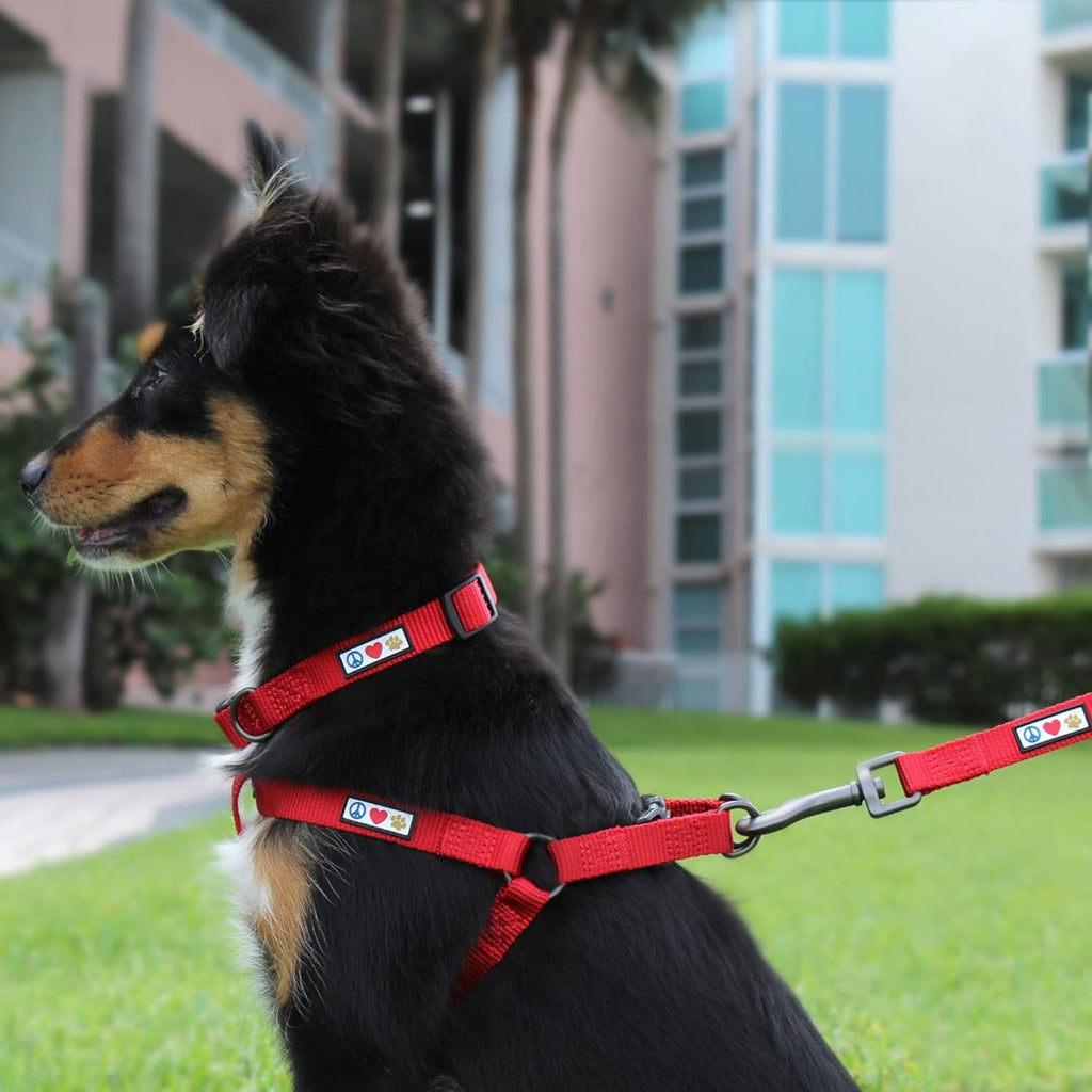 Pawtitas dog harness showing rip-stop nylon fabric texture