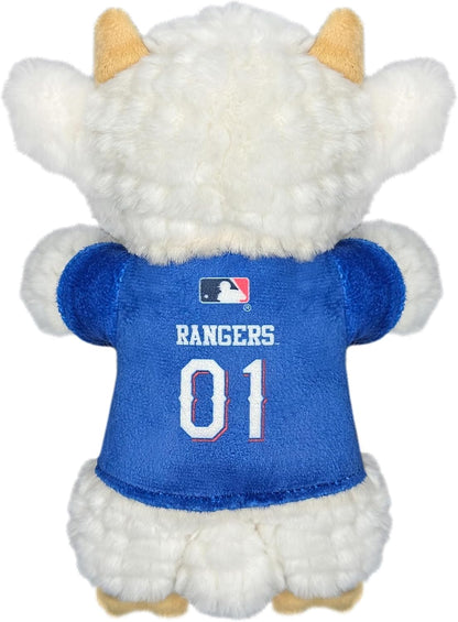 Pets First sports pet chew toy with internal squeaker for dogs and cats.