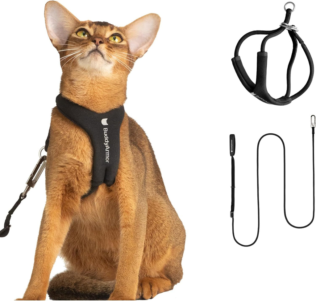 Cat Harness and Leash Set, Escape Proof Y Shape Cat Harness Adjustable Anti-Choke Soft Padded Vest Harness Hands Free Cat Rope Leash Harness Set for Cats up to 15.4 lbs (Burgundy, M) - Image 12