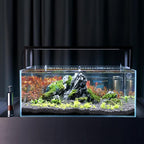 FZONE precision fish food dispenser detailing the top mechanical press button assembly