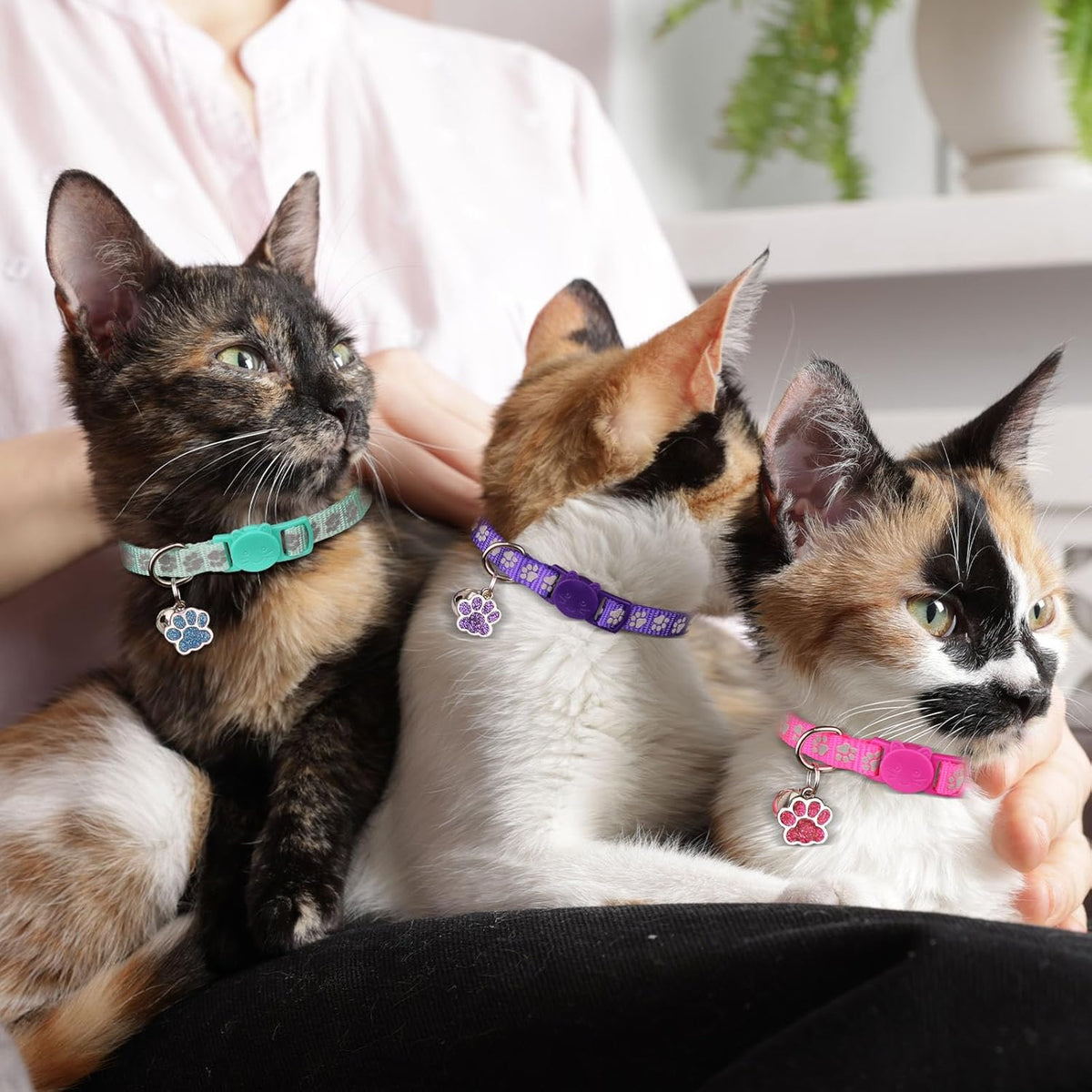 HLJ premium nylon cat collar fabric texture and durable D ring details