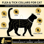 Yotango cat flea collar packaging showing 32 months protection