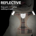 Detailed view of Pupteck harness quick release buckle