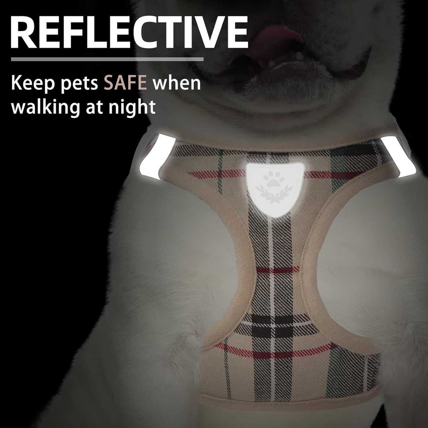 Detailed view of Pupteck harness quick release buckle