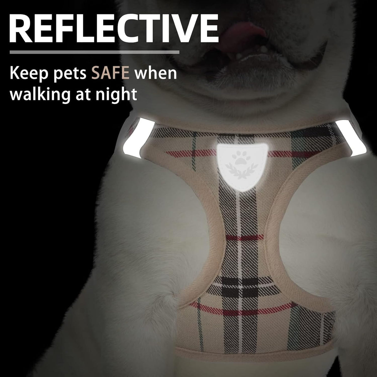 Detailed view of Pupteck harness quick release buckle
