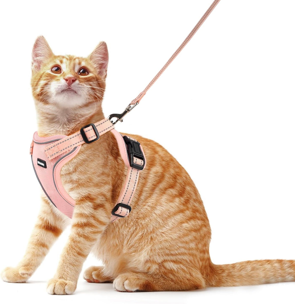 Cat Harness and Leash Set, Escape Proof Cat Harness with Reflective Strips, Breathable Mesh Vest, Adjustable Walking Harness for Indoor Outdoor Cats, Kittens, Small Medium Large Cats (Green, M) - Image 12