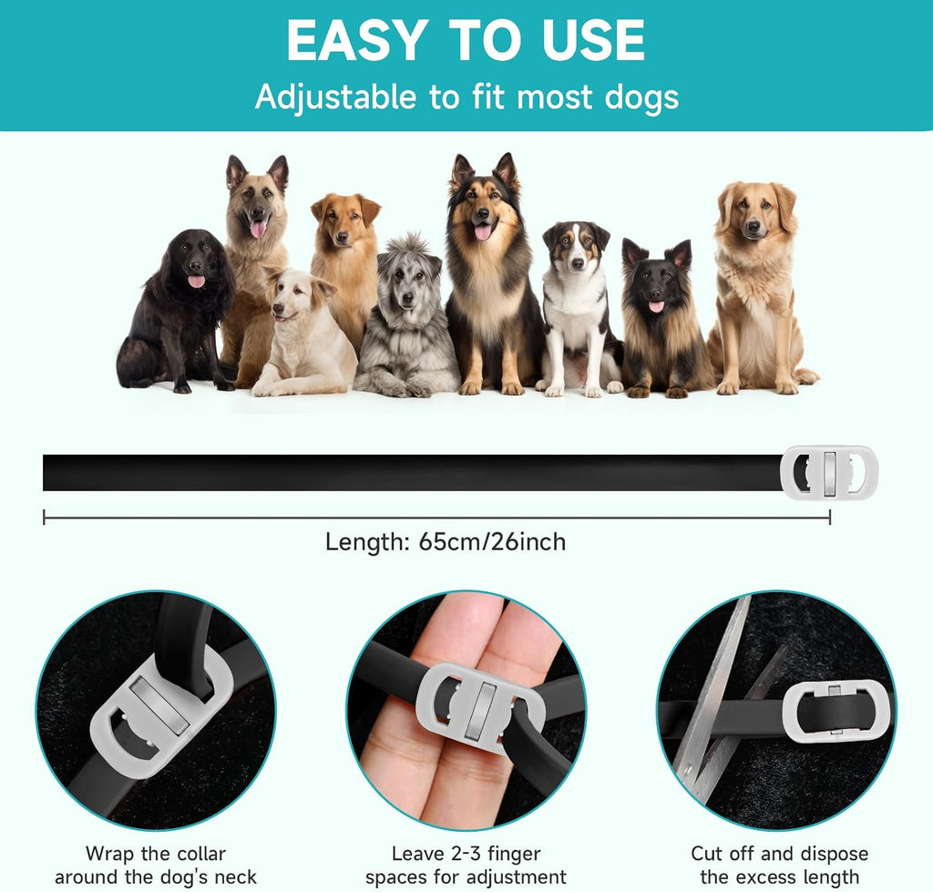 Vicsom dog flea and tick collar worn by a dog
