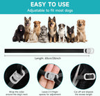 Vicsom dog flea and tick collar worn by a dog