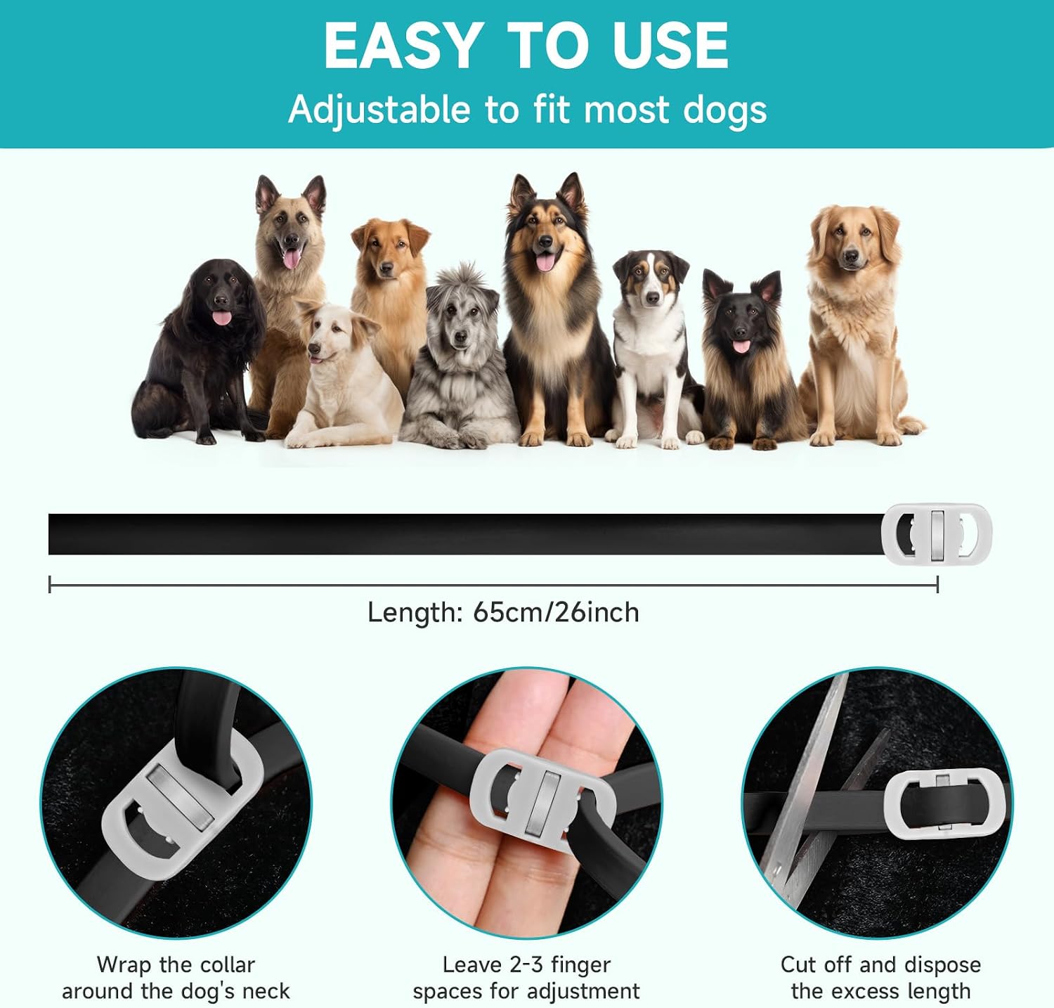 Vicsom dog flea and tick collar worn by a dog