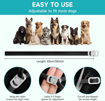 Vicsom dog flea and tick collar worn by a dog