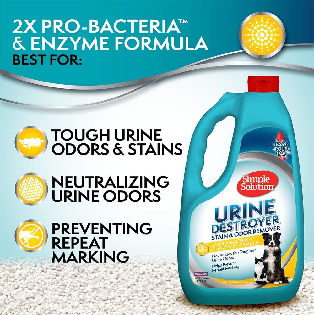 Simple Solution enzymatic cleaner jug handle and cap close up