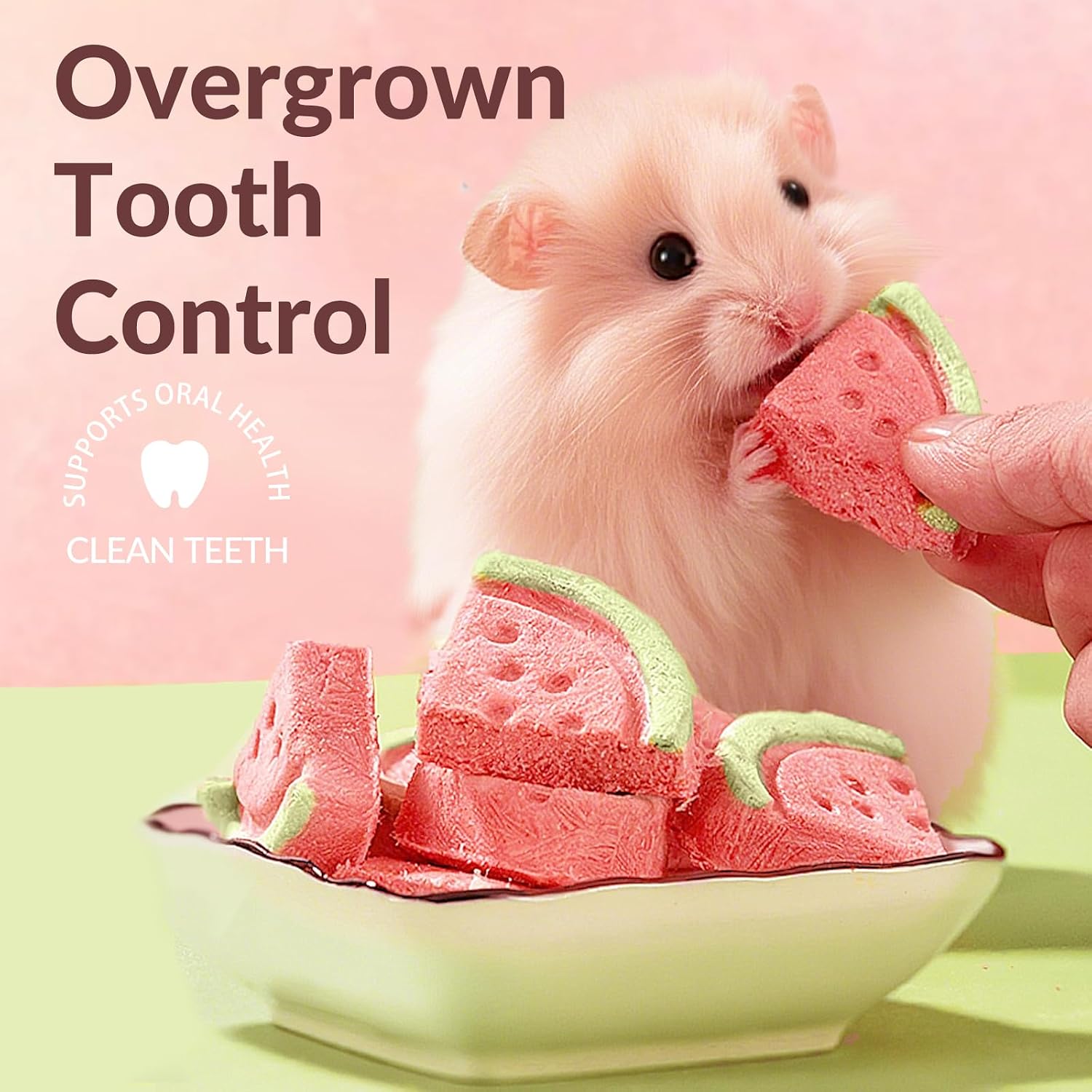 Safe premium imported small animal chewing aids for anxiety and boredom relief