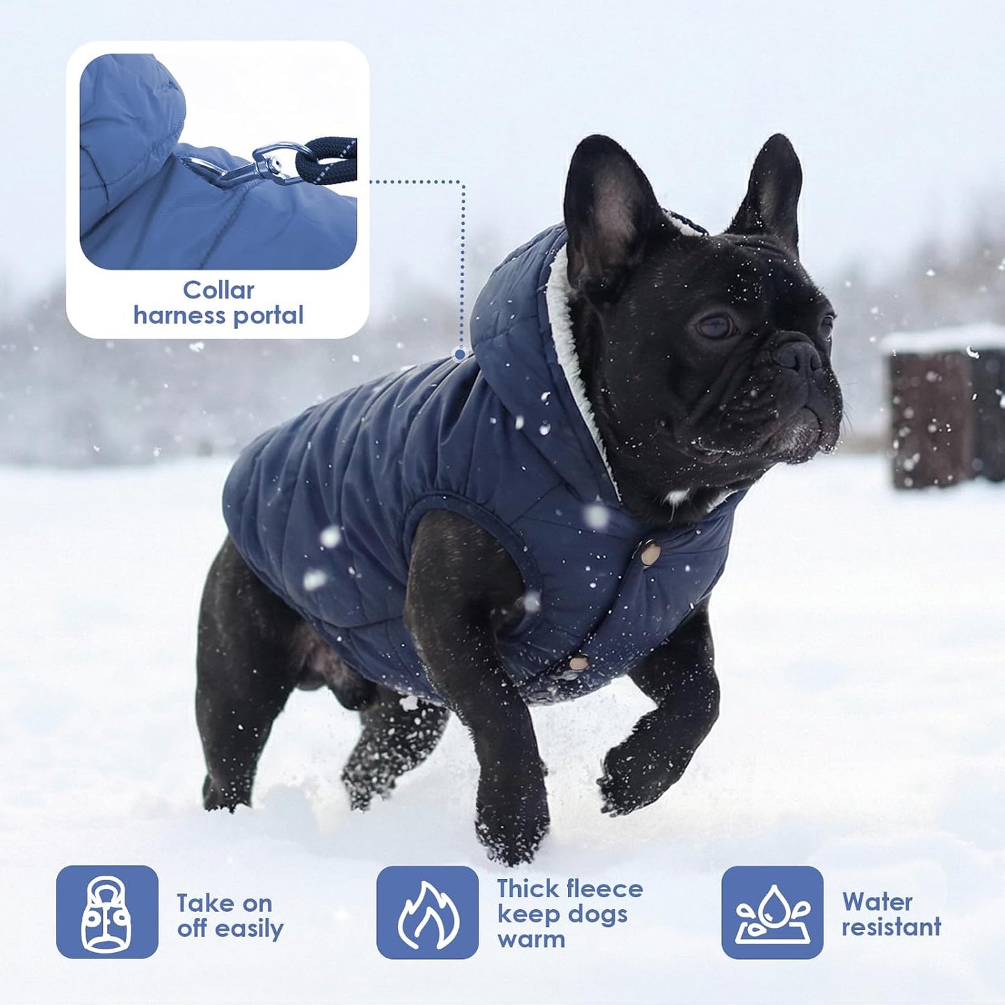Sawmong dog winter jacket showing elastic leg and bottom edges